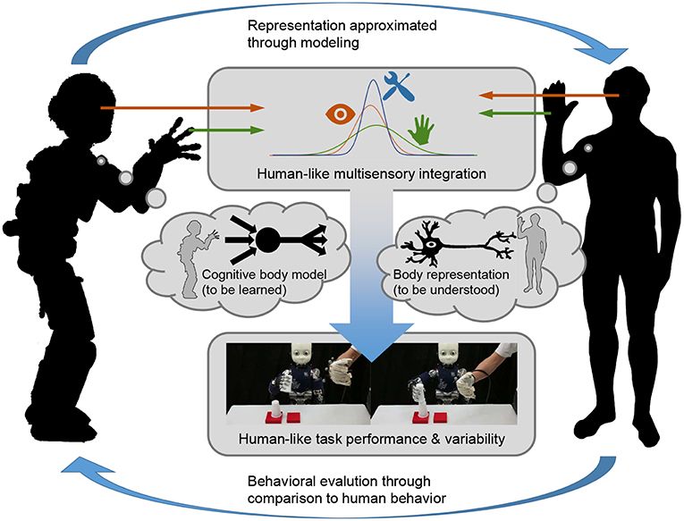 human behavior and diseases,